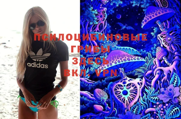 apvp Аркадак