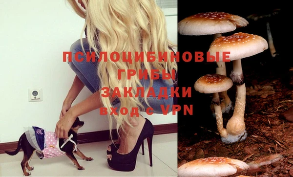 apvp Аркадак